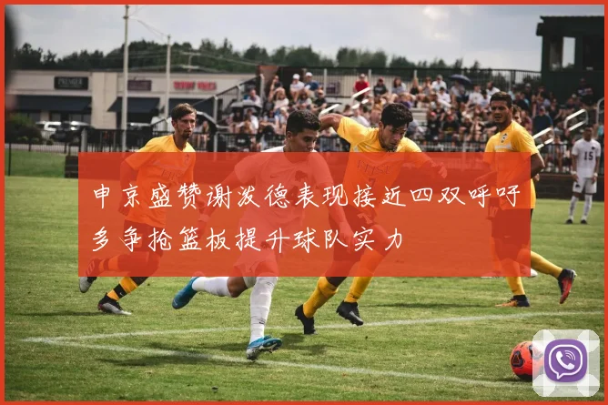 申京盛赞谢泼德表现接近四双呼吁多争抢篮板提升球队实力