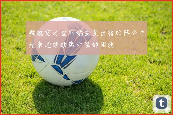 鹈鹕官方宣布锡安复出将对阵公牛结束连续缺席六场的困境
